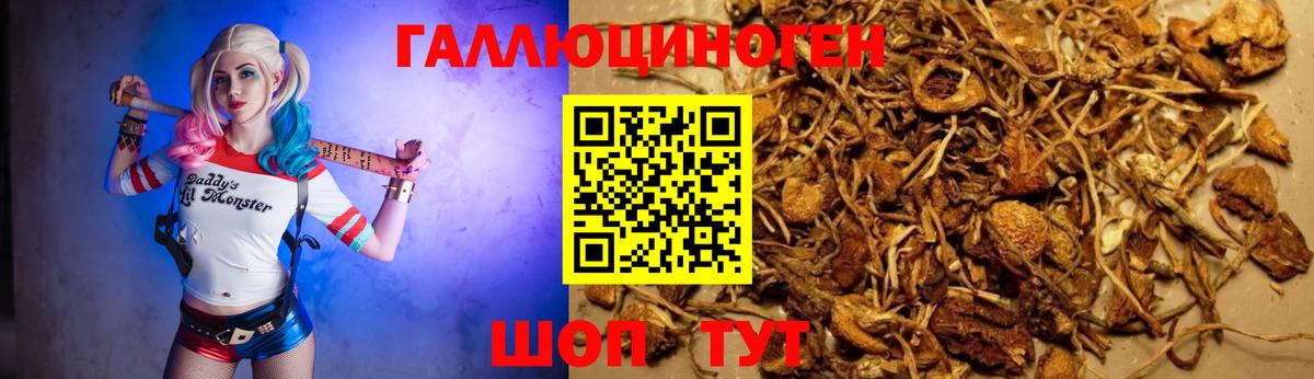 Галлюциногенные грибы GOLDEN TEACHER  Вход с VPN  Наро-Фоминск  Галлюциногенные грибы Cubensis 
